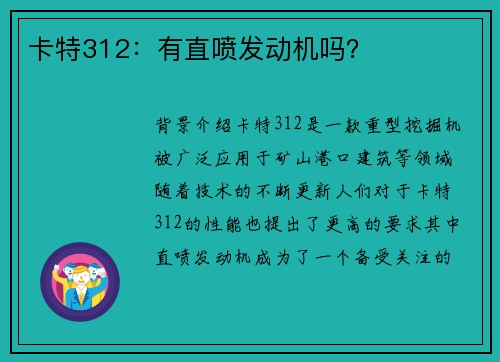卡特312：有直喷发动机吗？